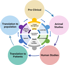 Clinical Research Translation